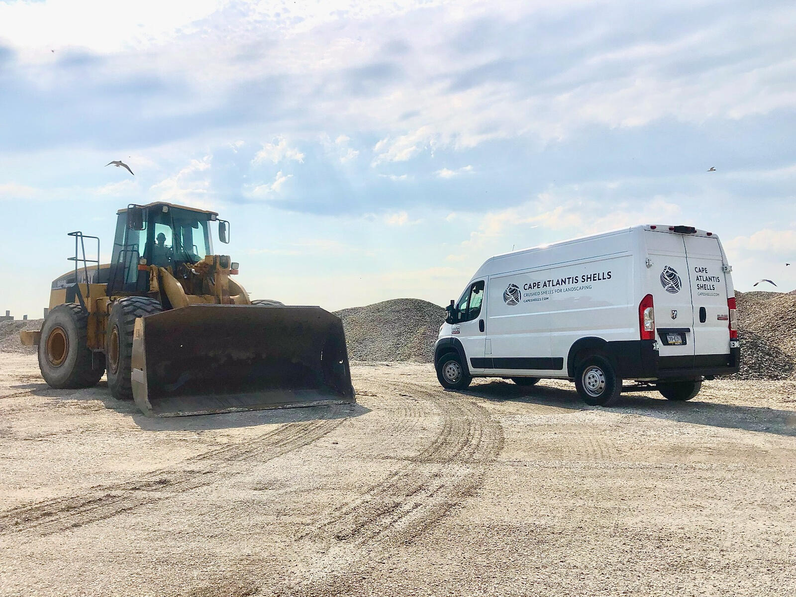 Cape Atlantis Shells LLC