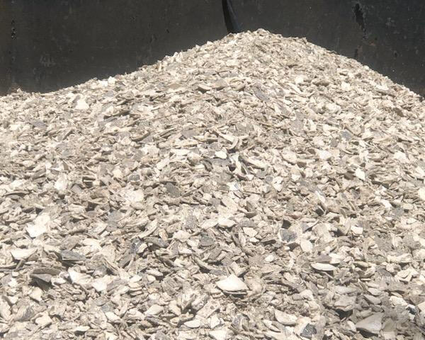 Cape Atlantis Shells LLC